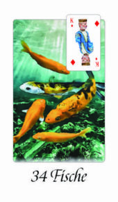 Strahlen-Lenormand 34 Fische ©Barbara Nobis alias Meredith Kalyan