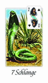 Strahlen-Lenormand 07 Schlange ©Barbara Nobis alias Meredith Kalyan