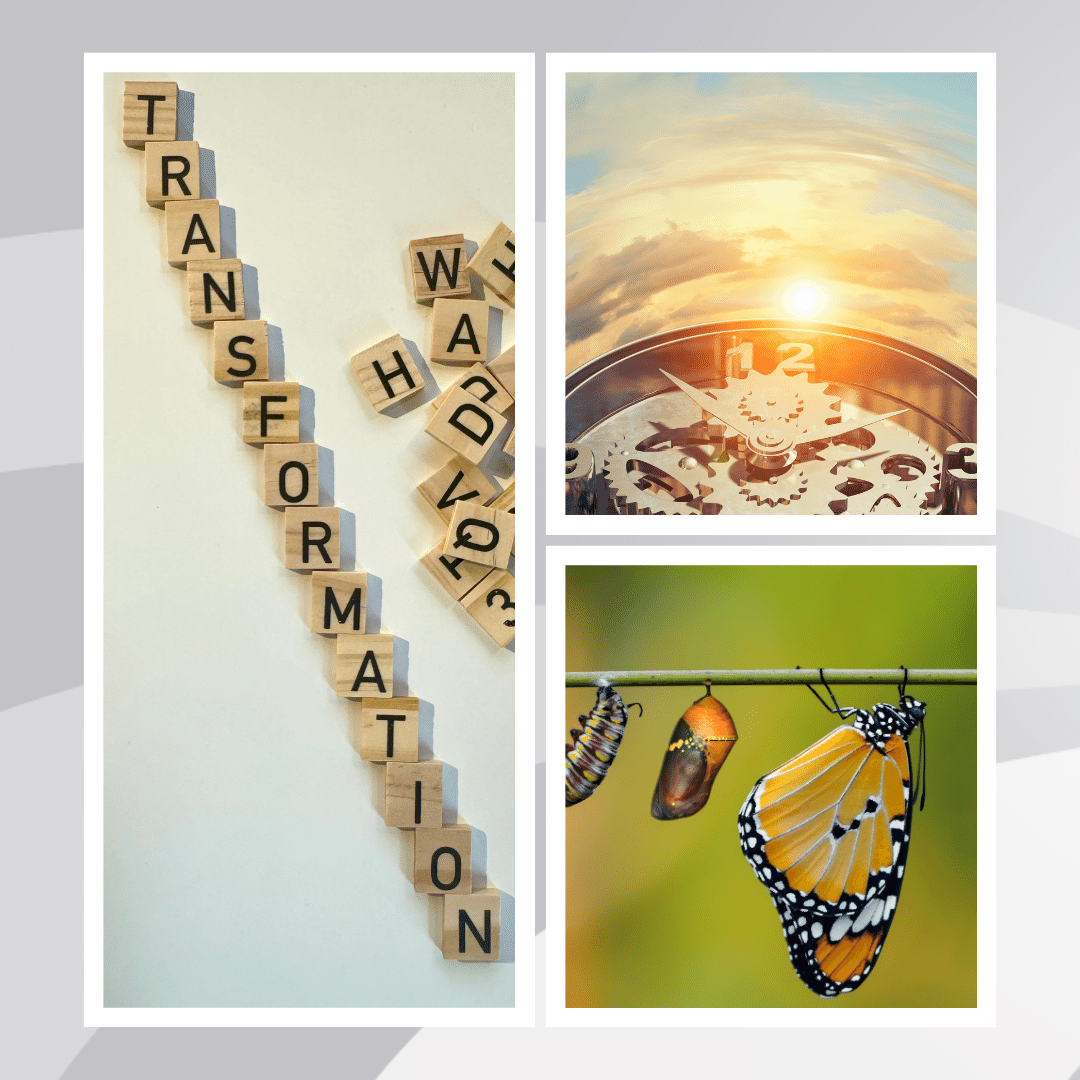 Die Collage zur Illustration des Wertes Transformation von Barbara Nobis zeigt das Wort anhand von Buchstabenplättchen sowie: den Verpuppungsprozess Schmetterlings und eine Uhr vor einer aufgehenden Sonne.
