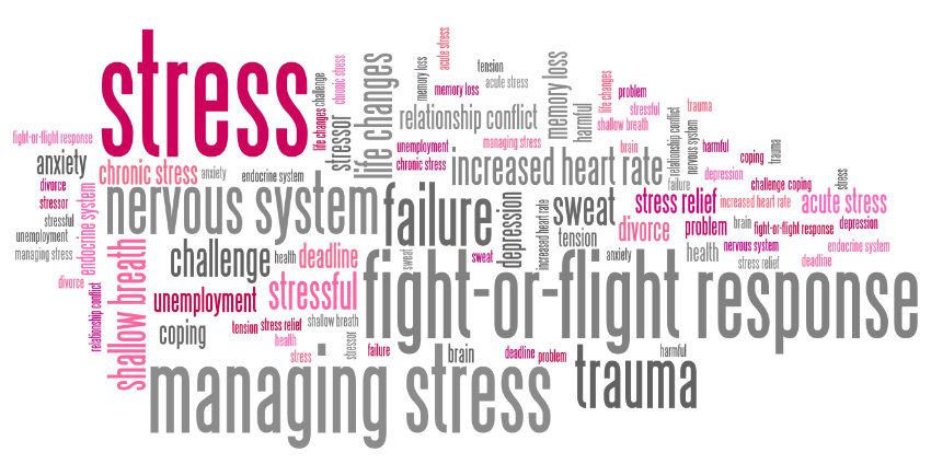 Die Grafik zeigt Begriffe, die auf traumatischen Stress deuten als Illustration des Blogbeitrags Trauma bewältigen mit The Work. Traumatisierte sollten vor dem Worken von Gedanken, die die mit einem Trauma zusammenhängen, , bereits gelernt haben, sich in der Gegenwart sicher zu fühlen und sich selbst regulieren können. 
